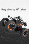 Off-Road Electric RC Car